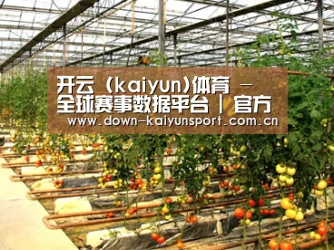 种植基地二