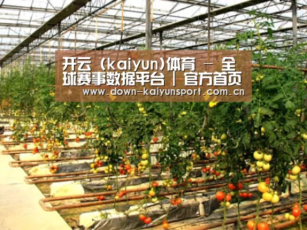 种植基地二(图1)